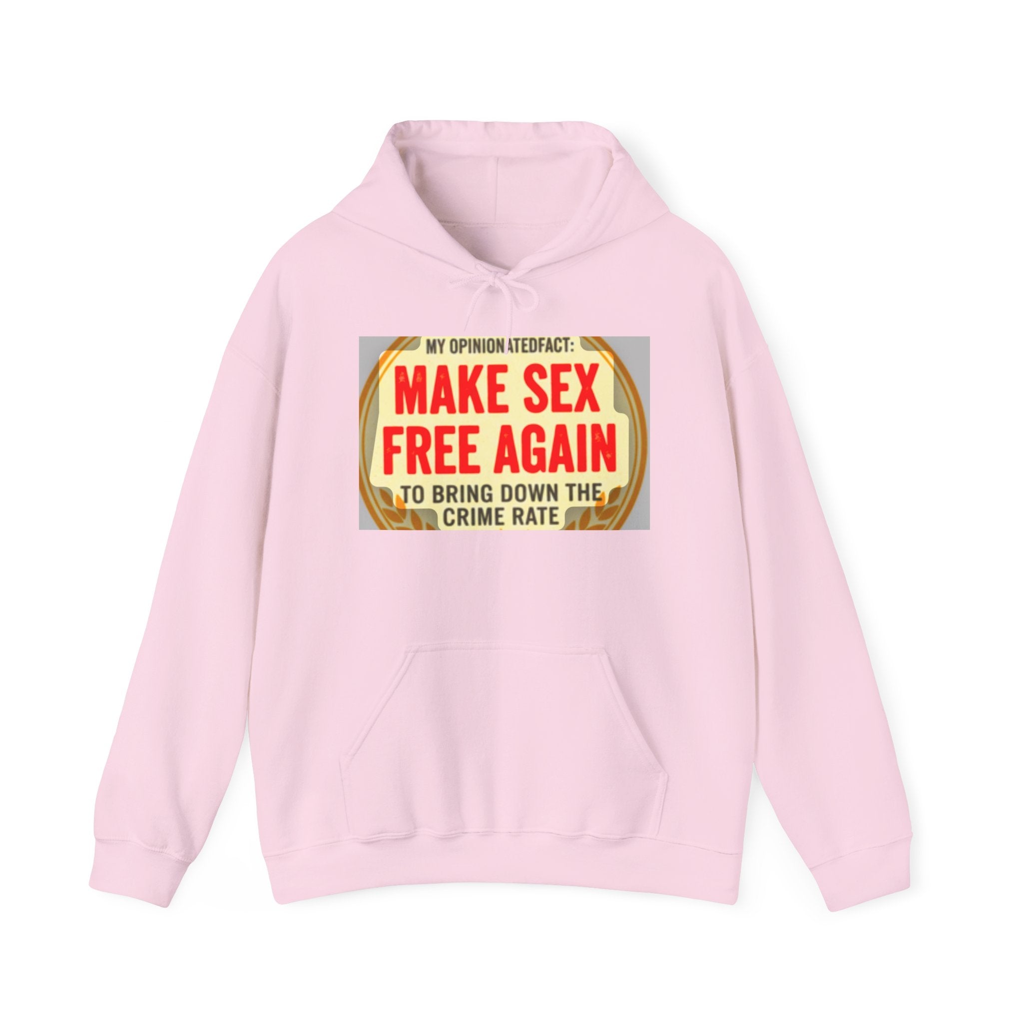 Funny Political Hoodie — Humorous Political Statement Sweatshirt