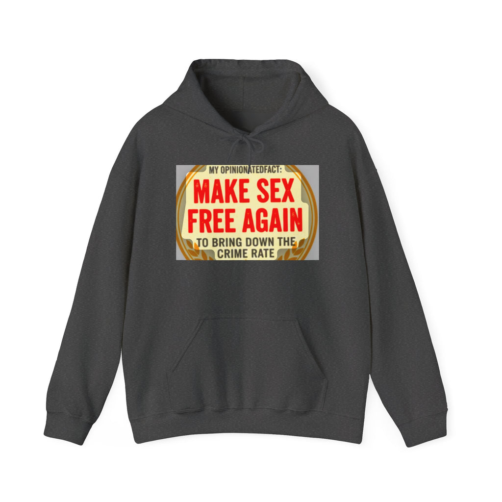 Funny Political Hoodie — Humorous Political Statement Sweatshirt