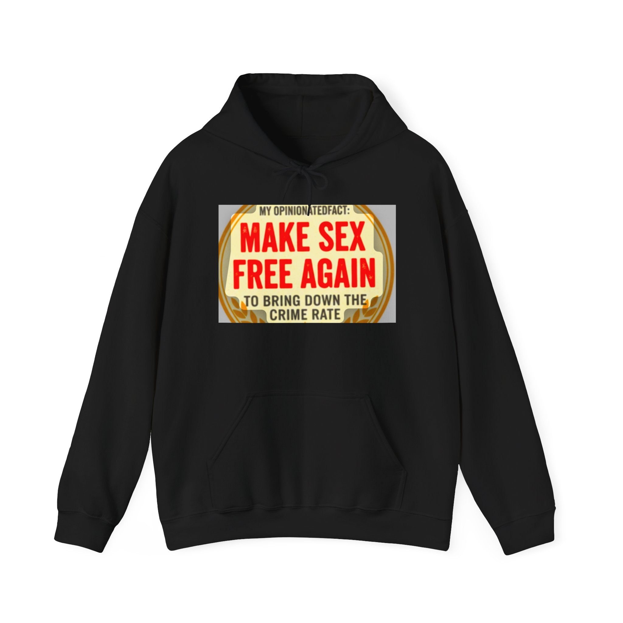Funny Political Hoodie — Humorous Political Statement Sweatshirt
