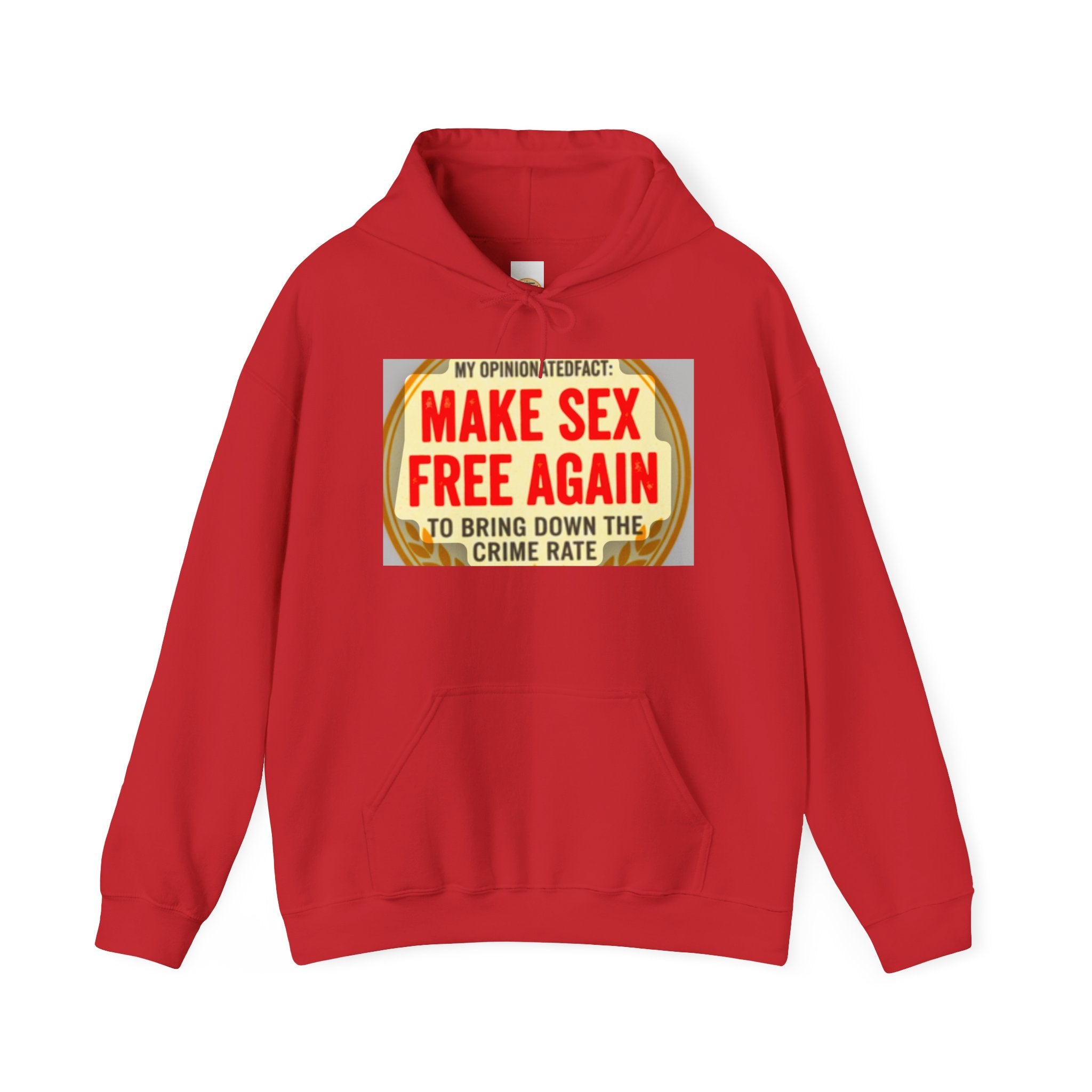 Funny Political Hoodie — Humorous Political Statement Sweatshirt