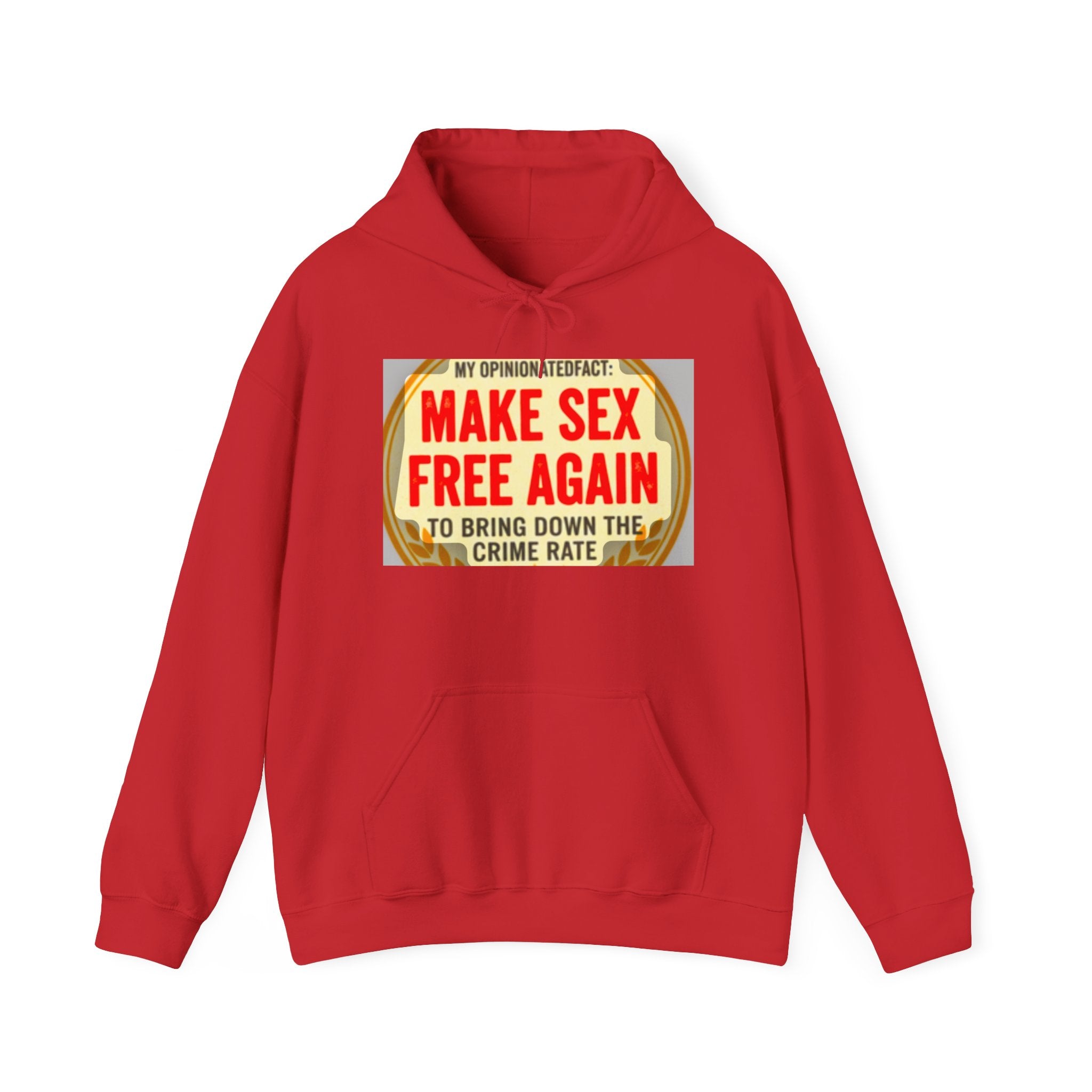 Funny Political Hoodie — Humorous Political Statement Sweatshirt