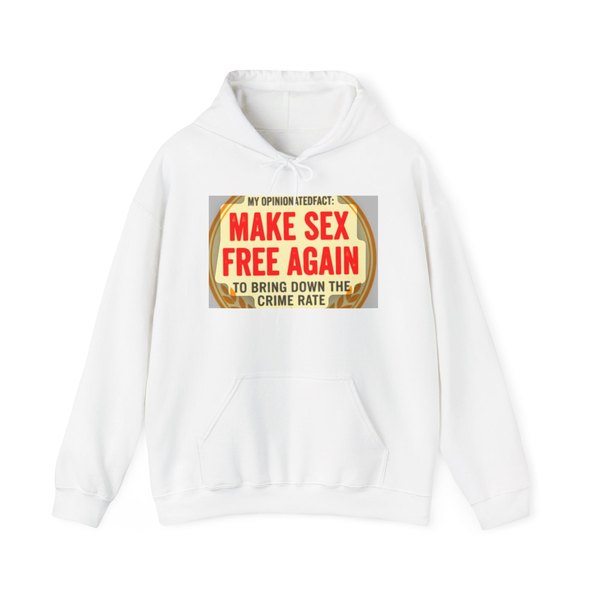 Funny Political Hoodie — Humorous Political Statement Sweatshirt