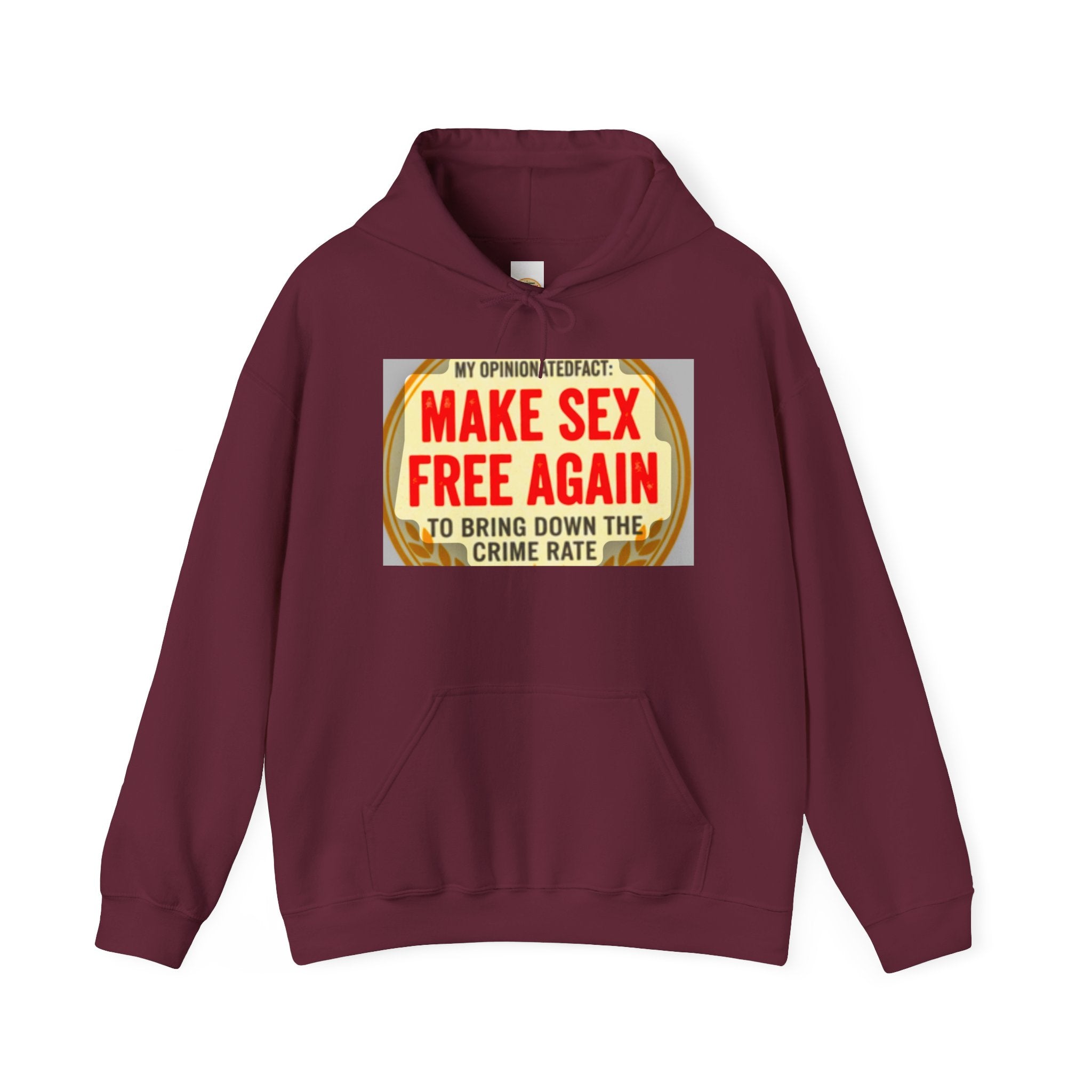Funny Political Hoodie — Humorous Political Statement Sweatshirt
