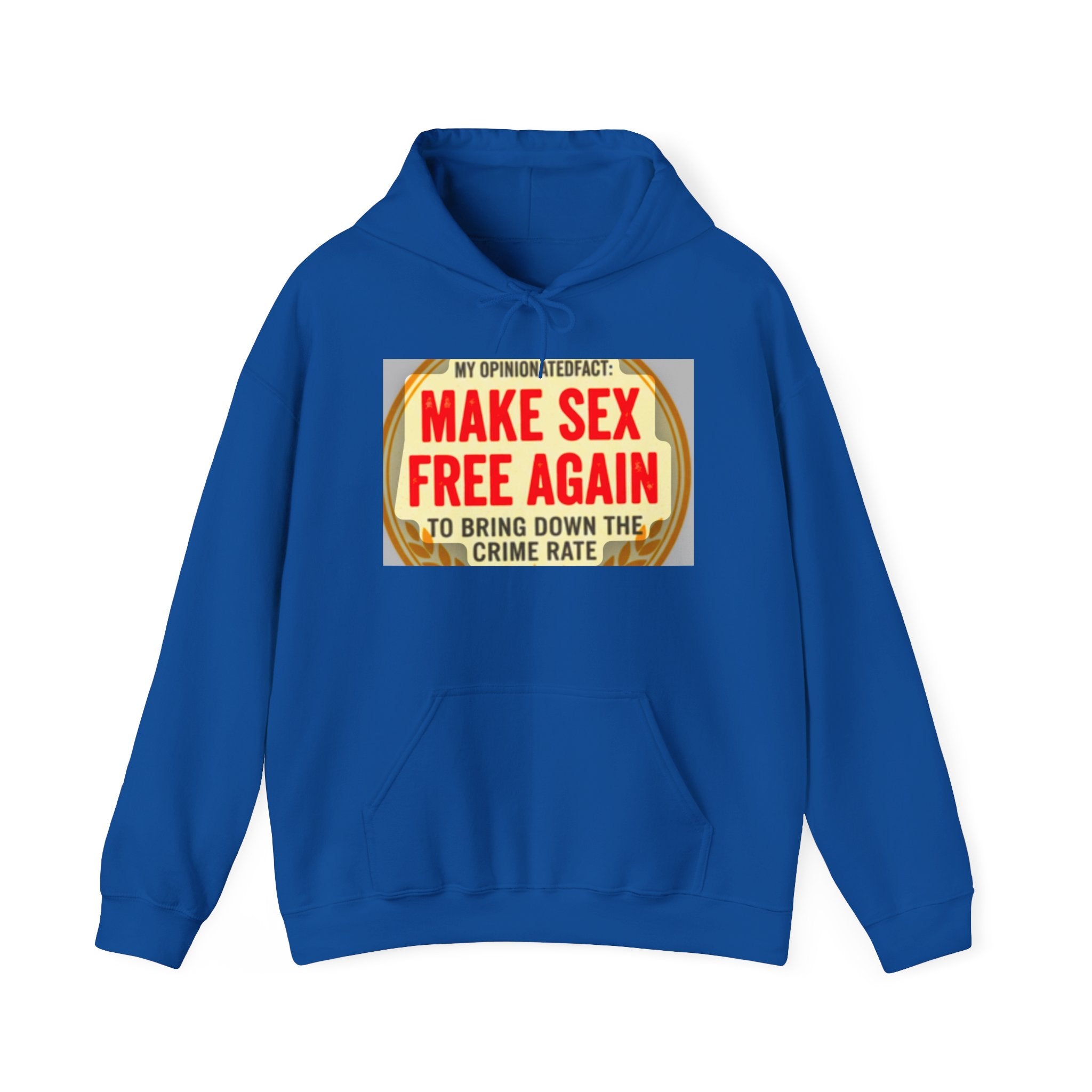 Funny Political Hoodie — Humorous Political Statement Sweatshirt