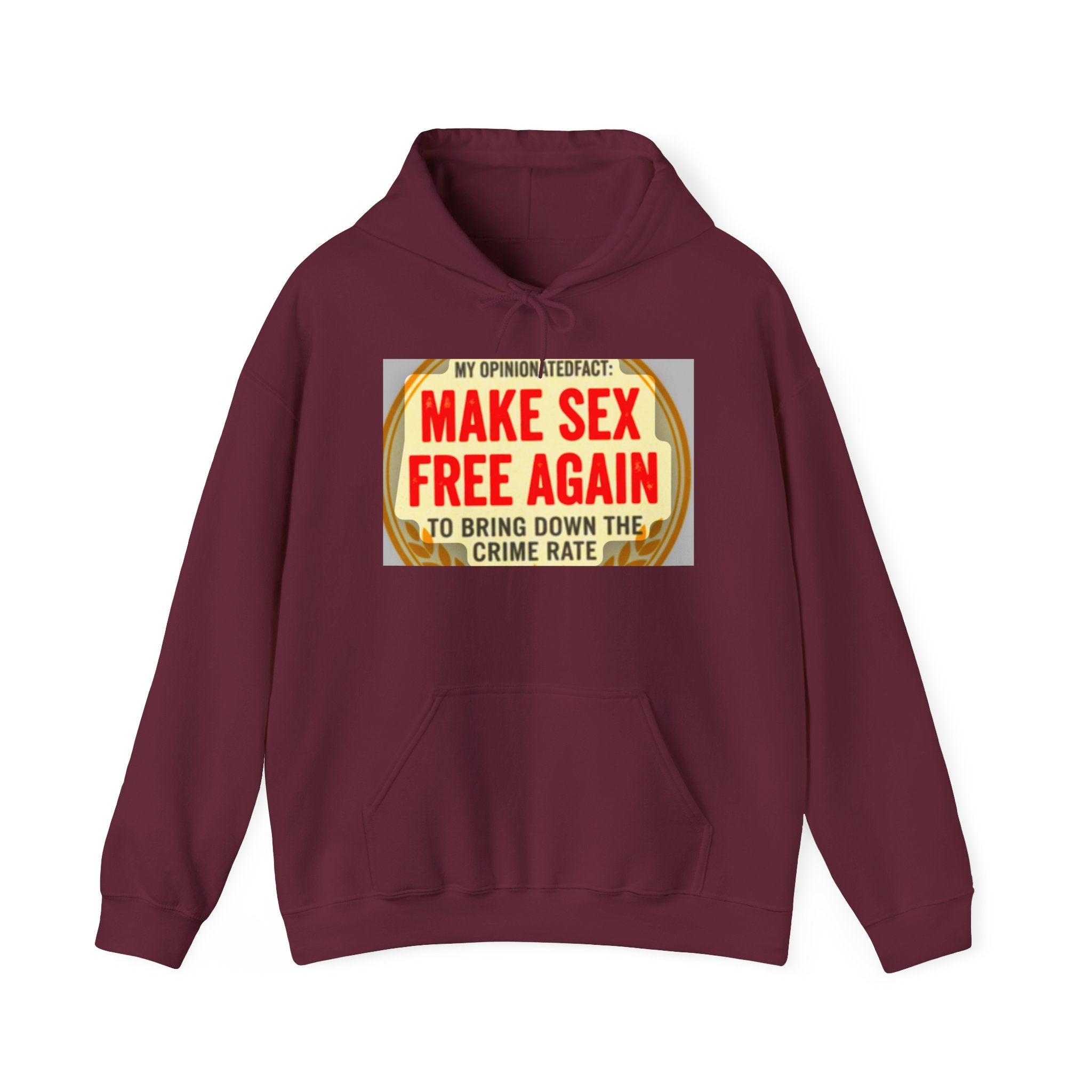Funny Political Hoodie — Humorous Political Statement Sweatshirt